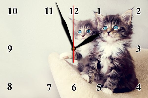 Настінний годинник з кошенятами на склі